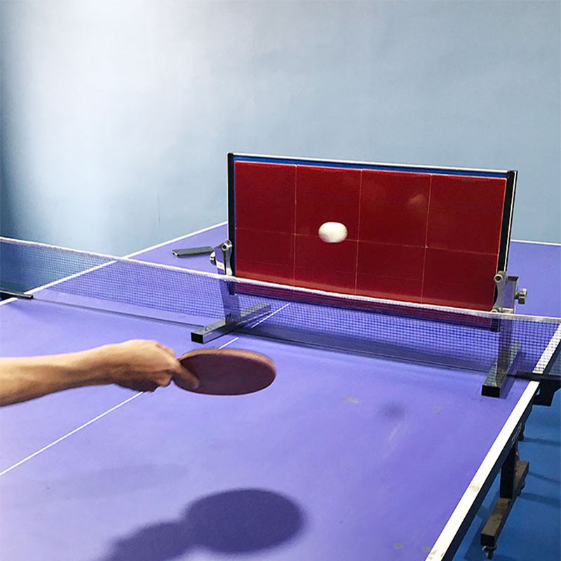 Badminton Single - Tavolo da ping pong con rimbalzo